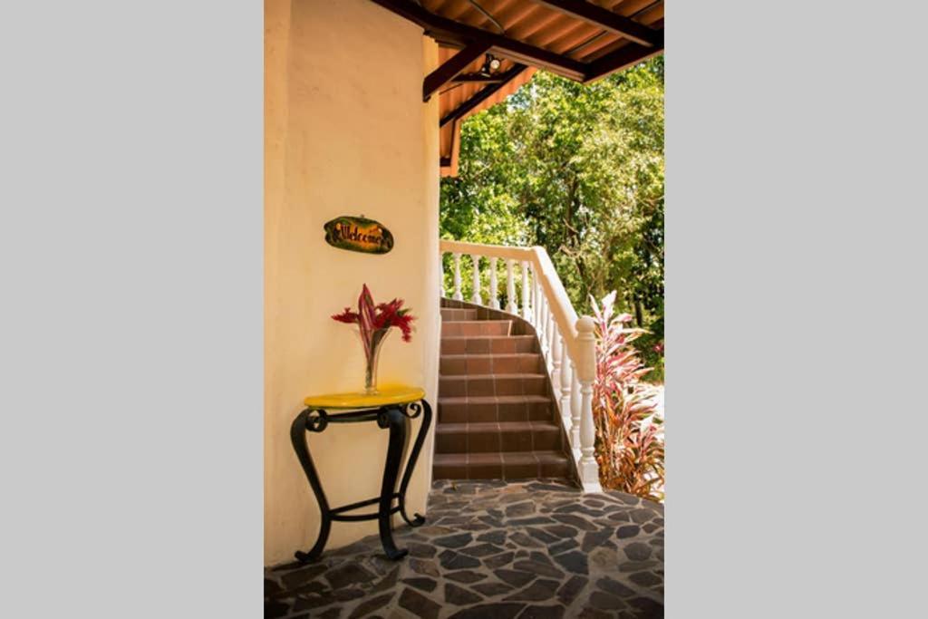 Tower Studio In The Treetops In Altos Del Maria Panama El Picacho Exterior foto